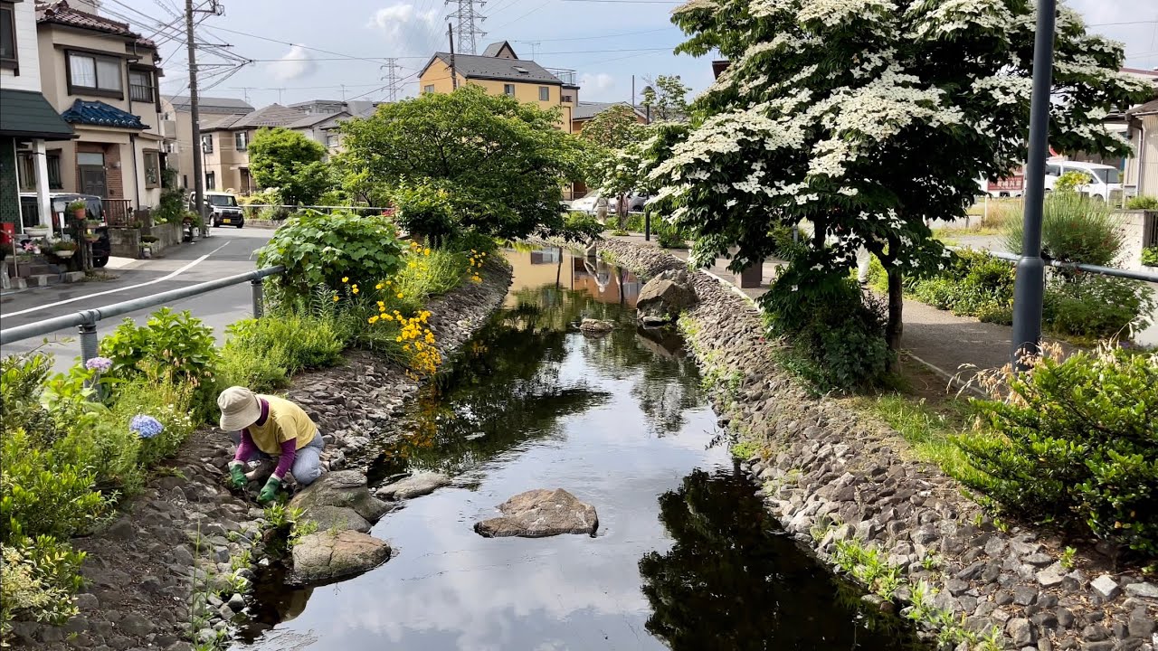 [JAPAN/Kawasaki]Just chasing duck family at promenade[Kanagawa]