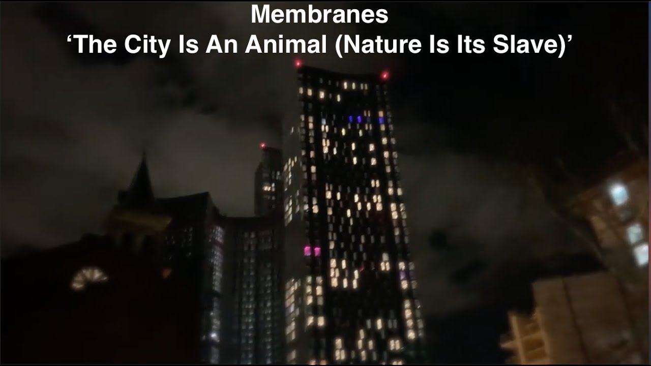 the Membranes 'The City Is An Animal (Nature Is Its Slave)'