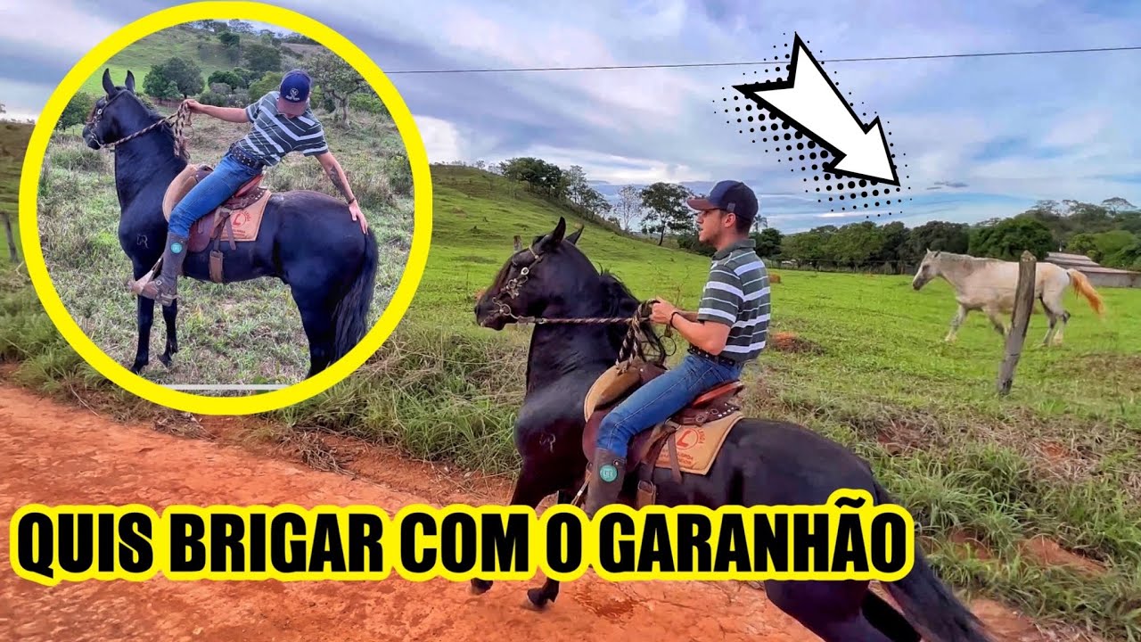 CAVALGADA COM O GARANHÃO VOLVERINE