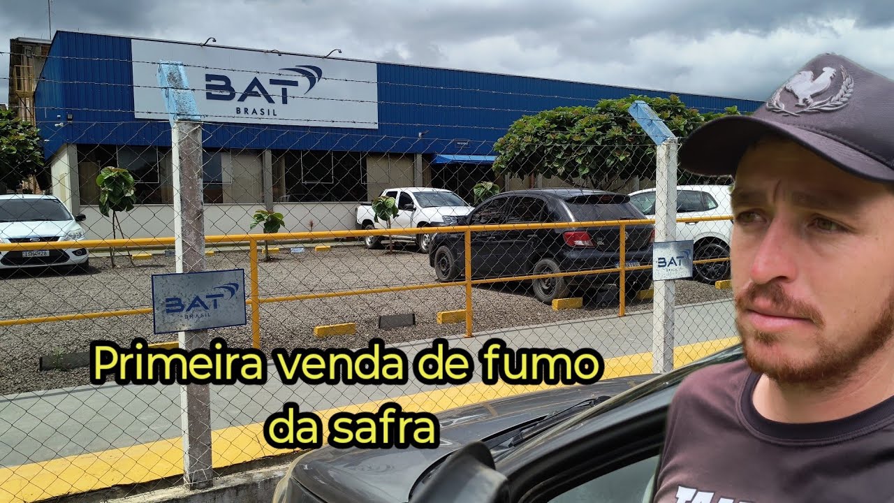 Primeira venda de fumo da safra 
