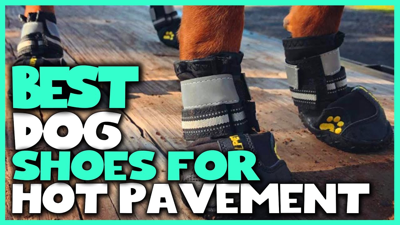 Top 5 Best Dogs Shoes for Hot Pavement Review in 2023 -  Small/Medium/Large Dogs Shoes