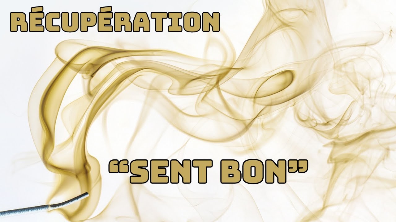 Récupération ''sent bon'' dans les poubelles 👃