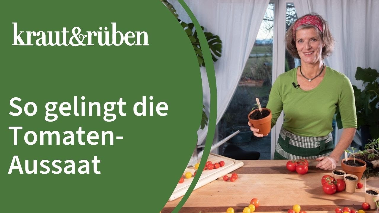 Tomaten selber ziehen 🍅| Tomaten anbauen: auss&auml;en & pflanzen