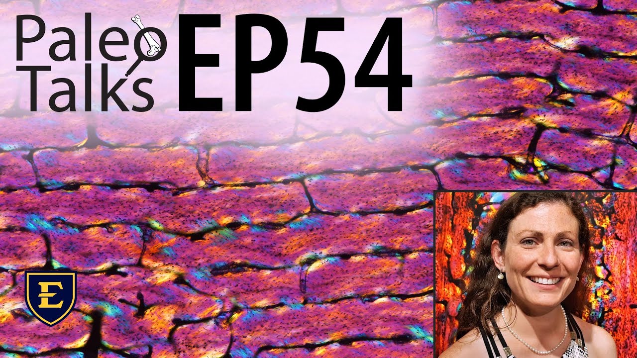 The Dinosaur is in the Details [Paleo Talks EP54]