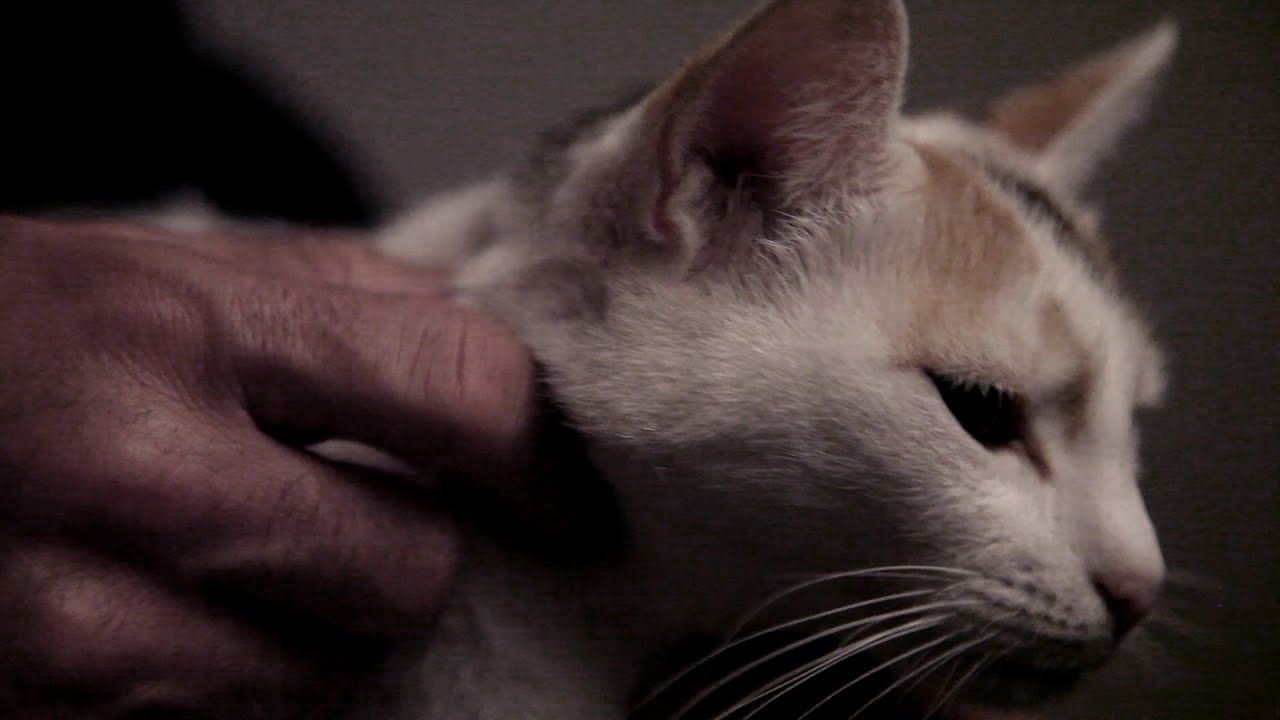 Res Turner - Allo Maman (Prod Elenel)