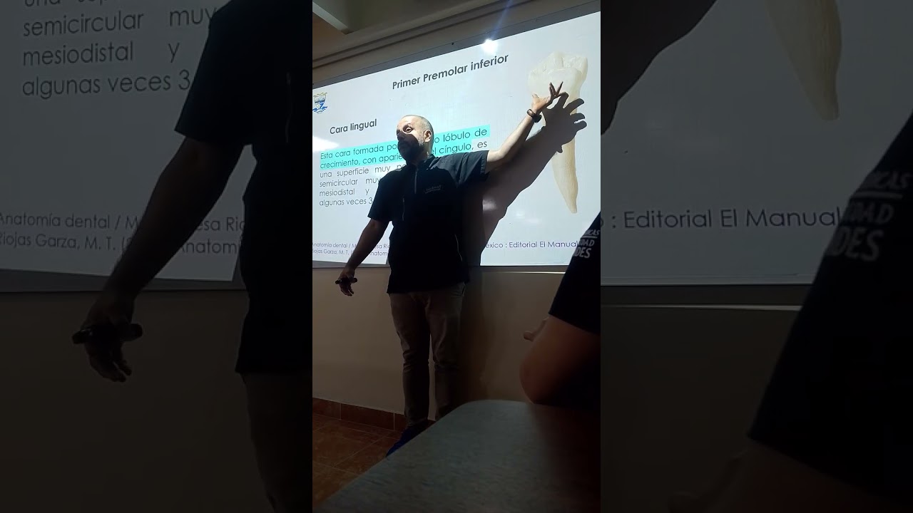 Premolares inferiores 