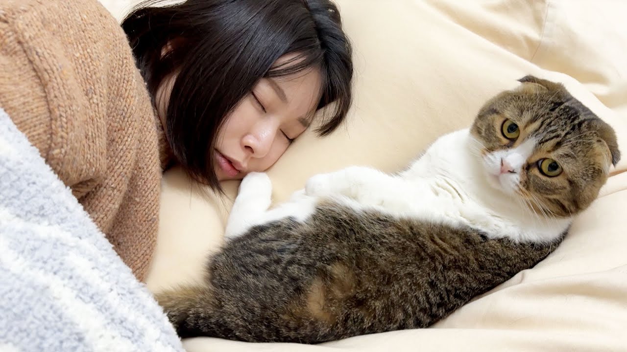 仕事納めで力尽きたママと添い寝してくれる猫w