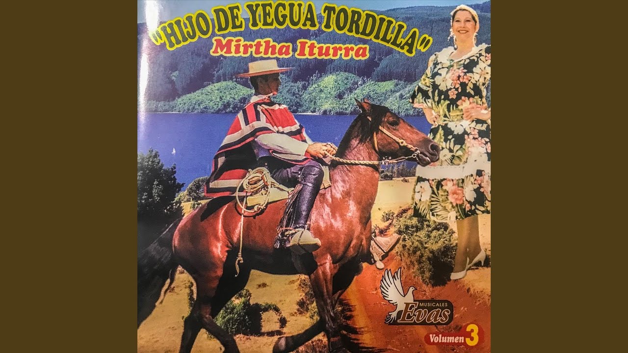 Hijo de Yegua Tordilla