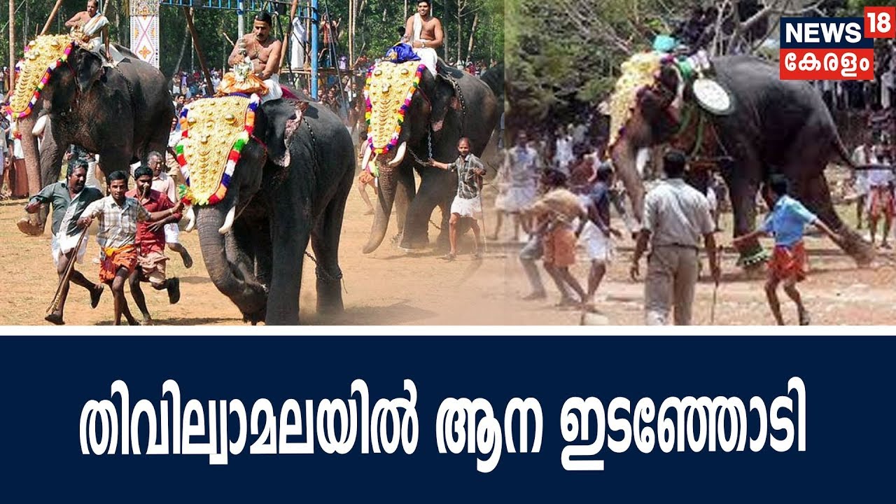തൃശ്ശൂര്‍ തിവില്വാമലയില്‍ താലപൊലി ഉത്സവത്തിനിടെ ആന ഇടഞ്ഞോടി