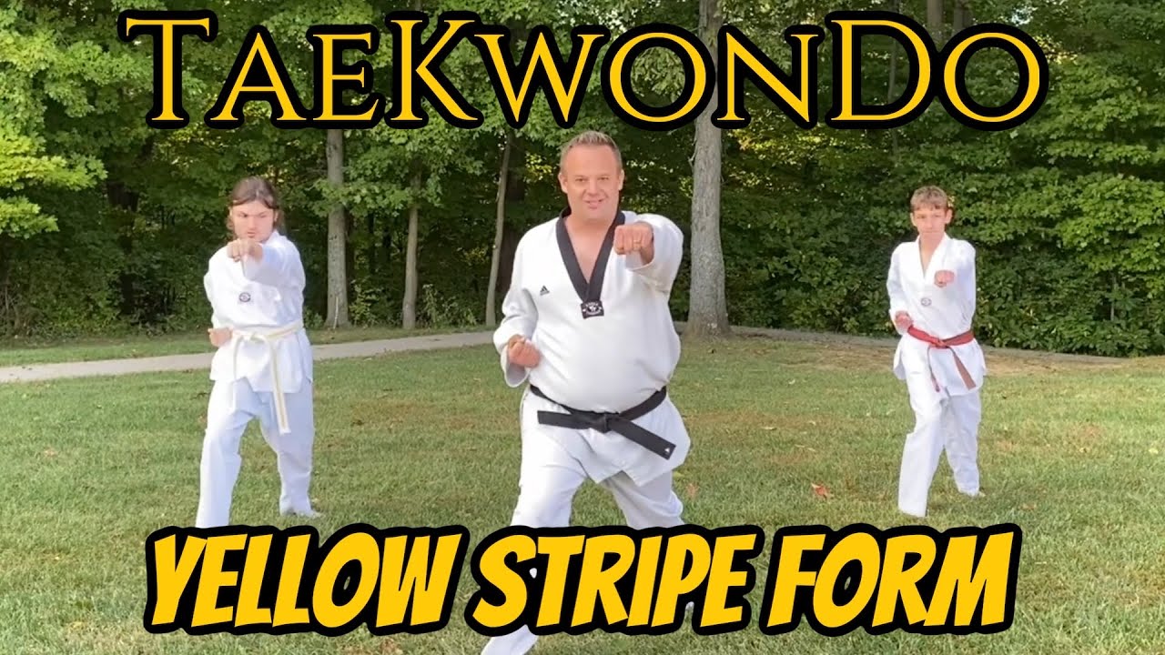 TaeKwonDo Yellow Stripe Form Taegeuk Il Jang