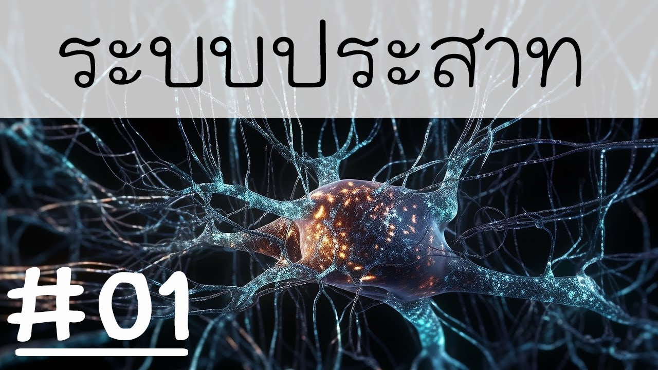 เนื้อหาชีววิทยา : ระบบประสาท [ Part 1 ]