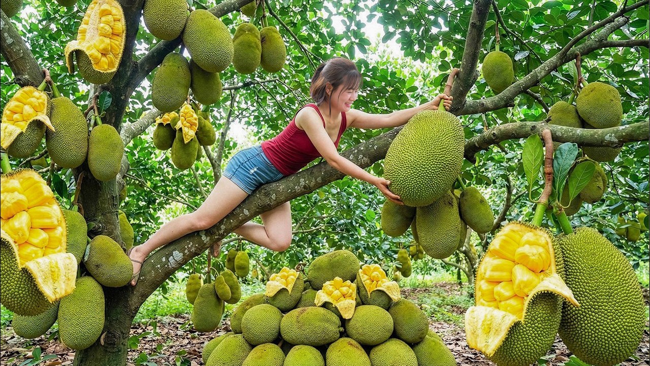 Harvesting Giant Tropical Jackfruit and Jackfruit Yogurt to Sell at the Market! It Sold Out Quickly!