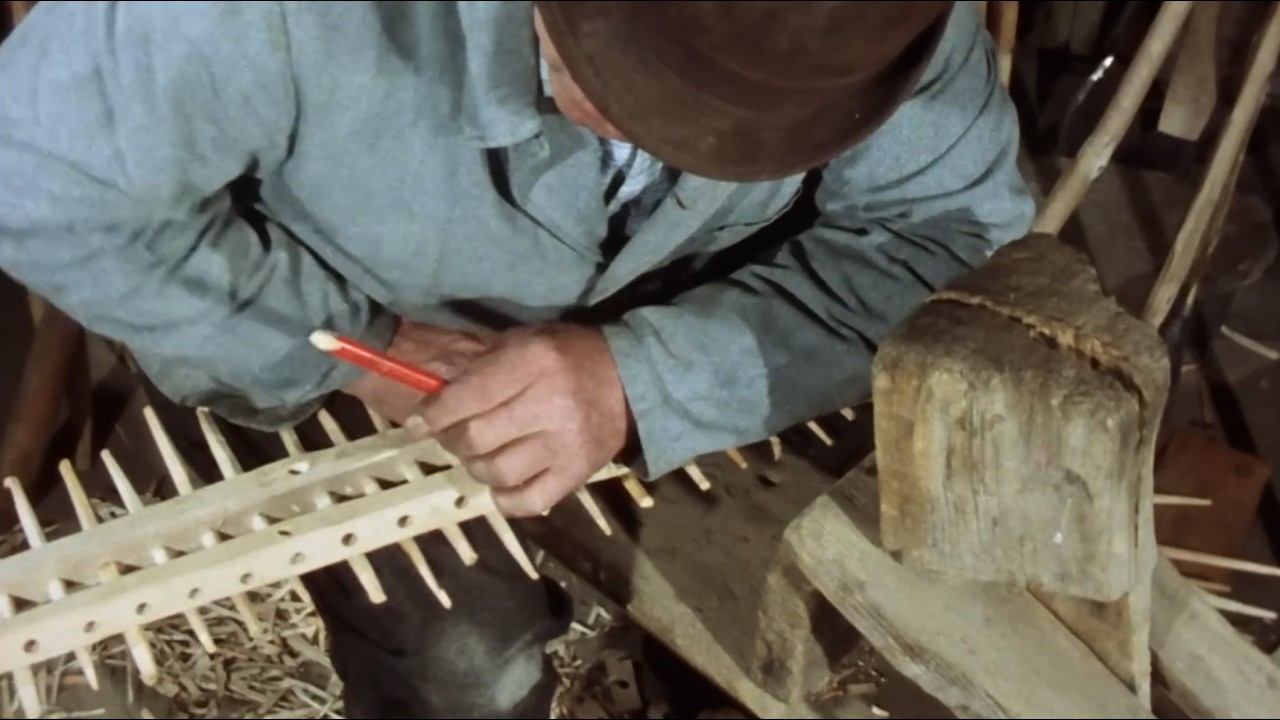 Wood to Gold: Genius Income in Winter