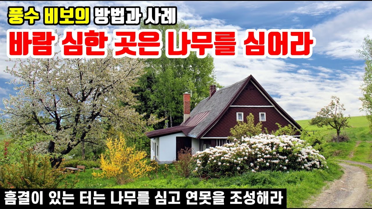 바람 심한 곳은 나무를 심어라