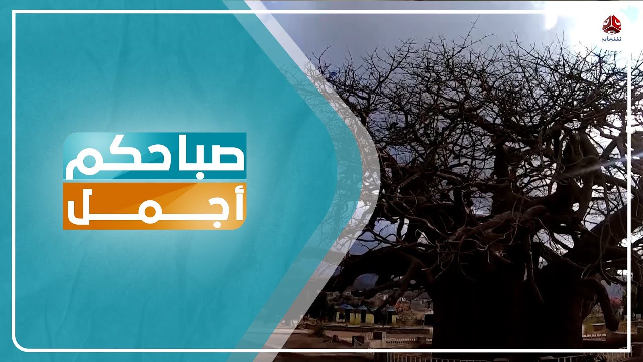 تعرف على الشجرة اليمنية المعمرة ...  اسرار شجرة الغريب
