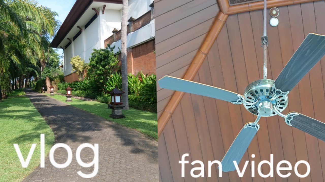 Vlog fan video : visiting my dad's friend from australia 