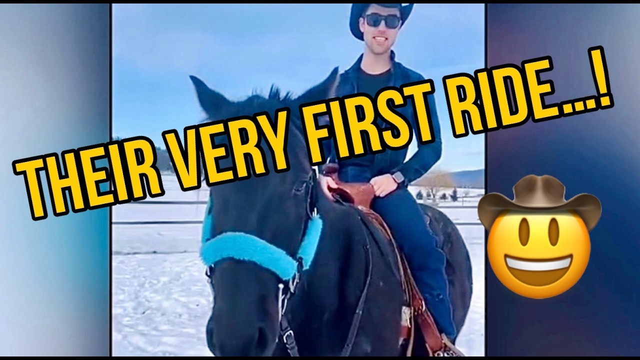 He was a CITY BOY when we first met-then I introduced him to my rescue gelding that didn&rsquo;t trust men
