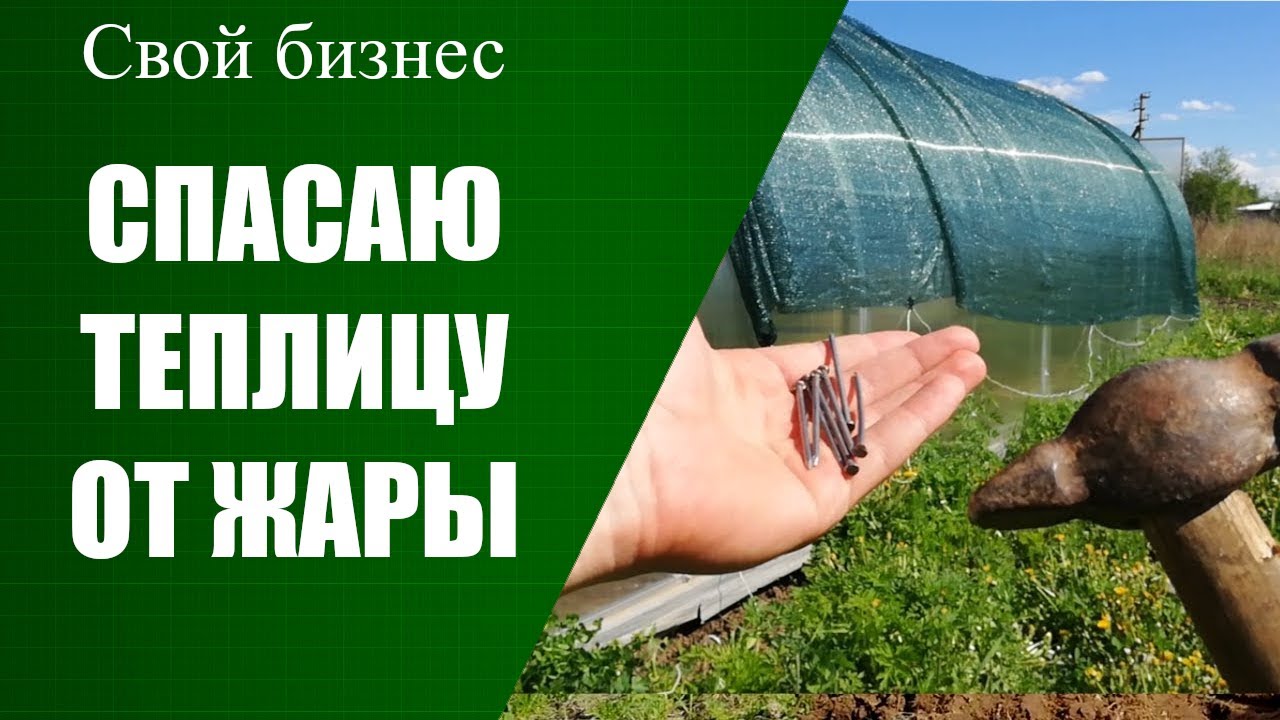 Как натянуть ЗАТЕНЯЮЩУЮ СЕТКУ на теплицу.
