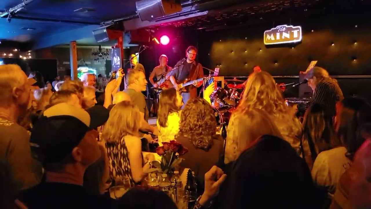 Cubensis & Friends 1-24-26  Big River 