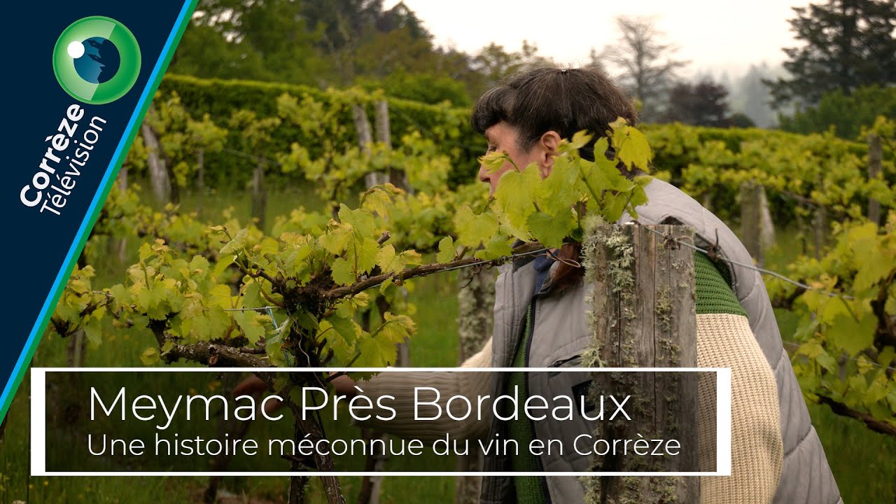 Meymac Près Bordeaux : une histoire méconnue du vin en Corrèze