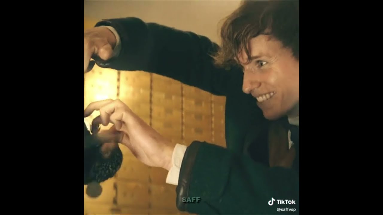 Fantastic Beasts tiktok compilation