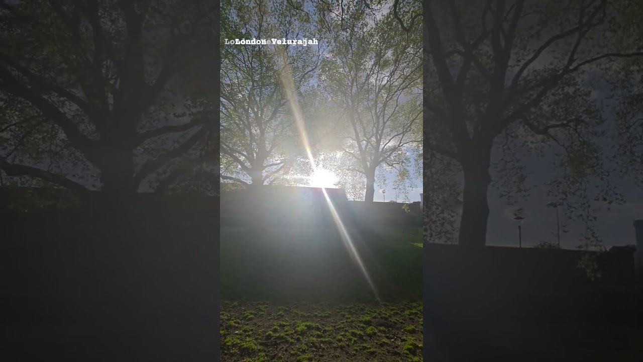 London Velurajah #shorts #relaxing #music