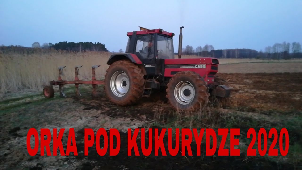 Wiosenna orka pod kukurydze 2020, Case 1255 + pług 4 skibowy.