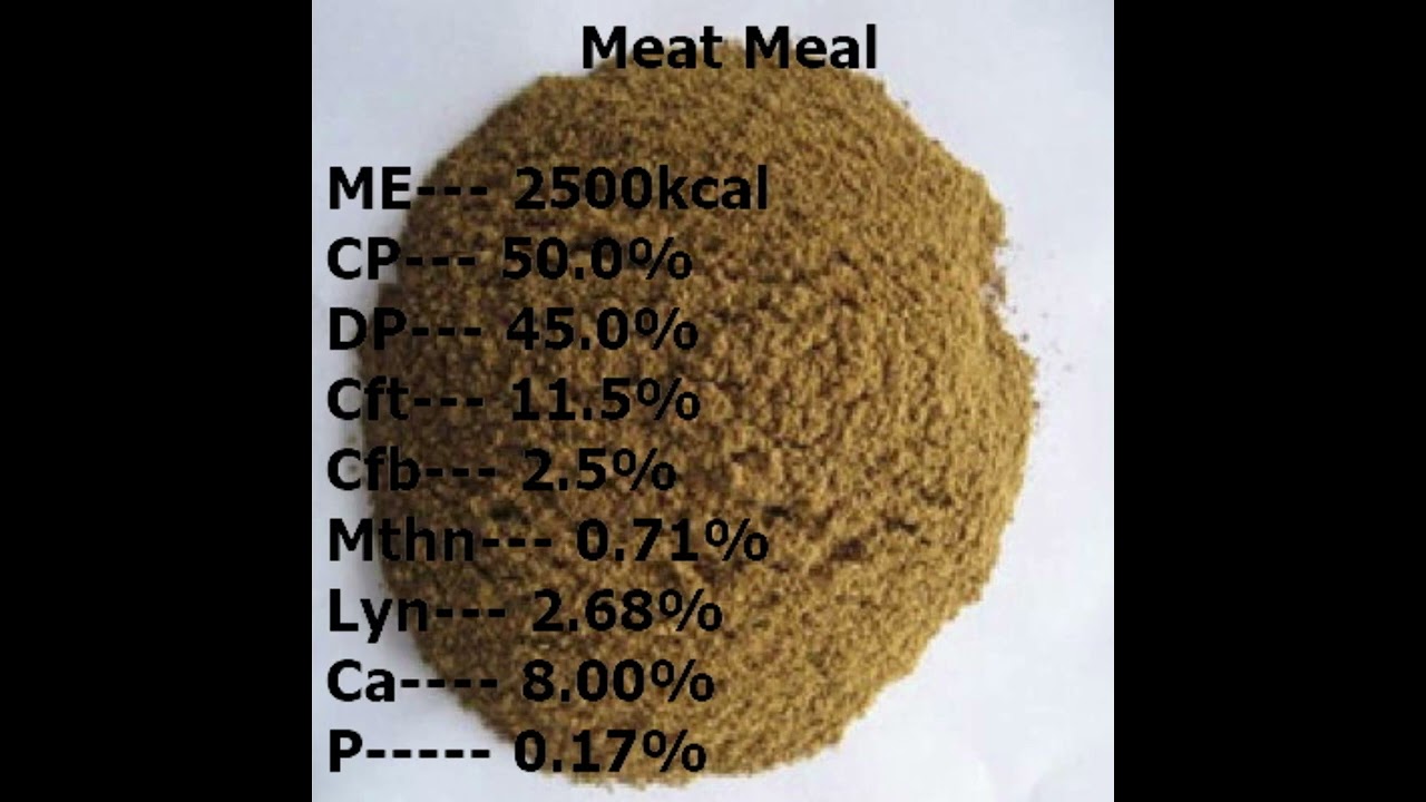 Poultry Feed Ingredients Nutritional Values PART 2  #nutritional #values #nutritional #components #