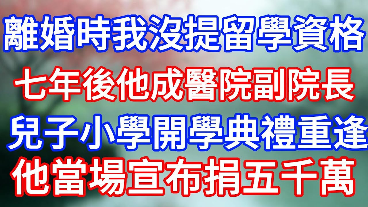 離婚時我沒提留學資格，七年後他成醫院副院長。兒子小學開學典禮重逢，他當場宣布捐五千萬。