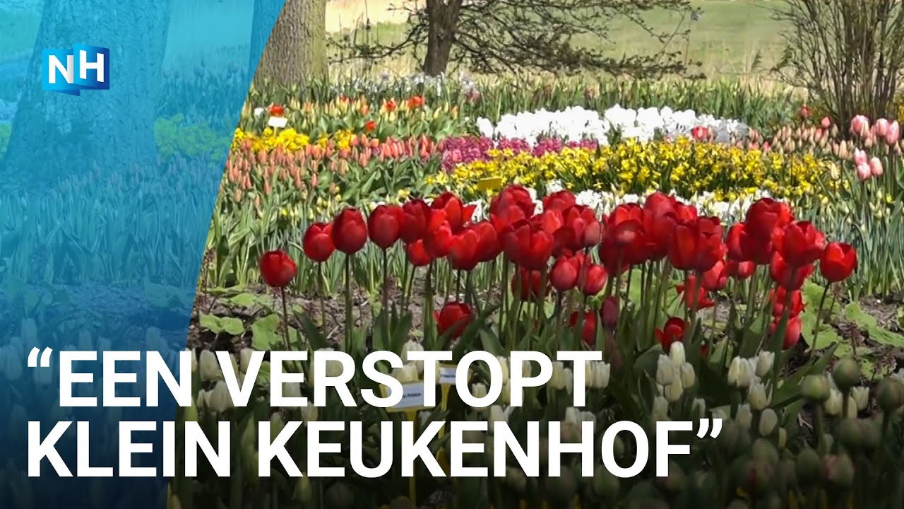 Poldertuin Anna Paulowna: paradijs voor bloemenliefhebbers