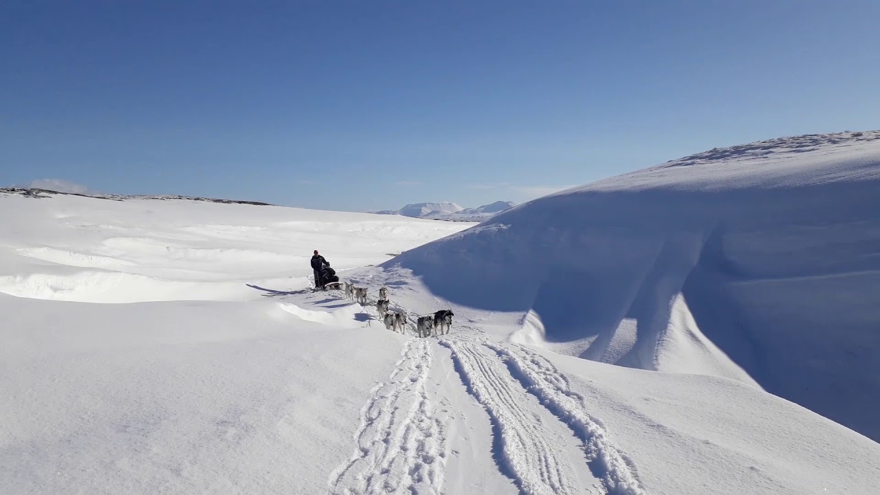Dog sledding in a little canyon :)