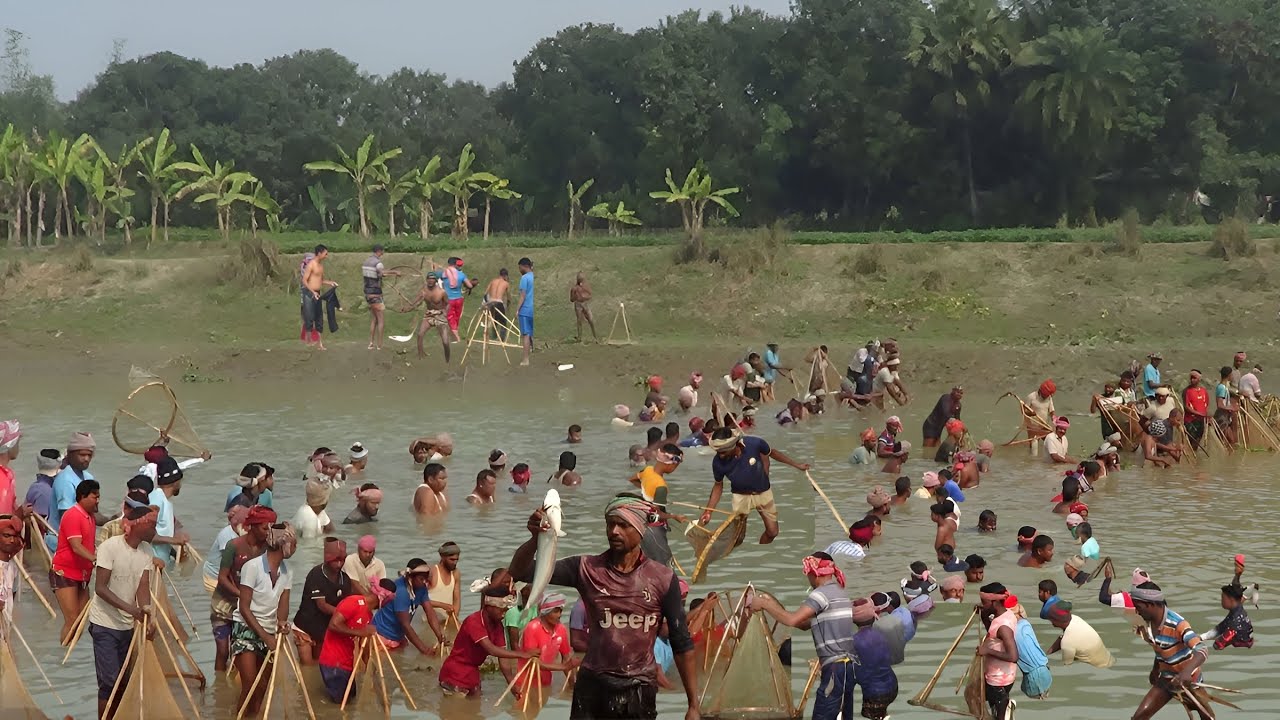 চোখে না দেখলে বিশ্বাস নয়! প্রাচীন কৌশলে শত শত শিকারী ও অগণিত বোয়াল