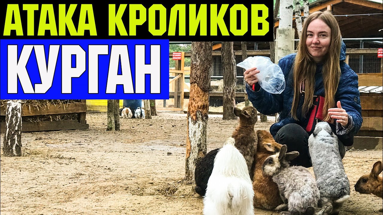 Жывотные атакуют! Каникулы в Кургане. Розыгрыш призов!
