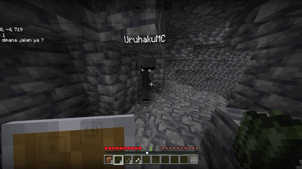Minecraft bedrock survival [Default]✨✨ I am with my friend 