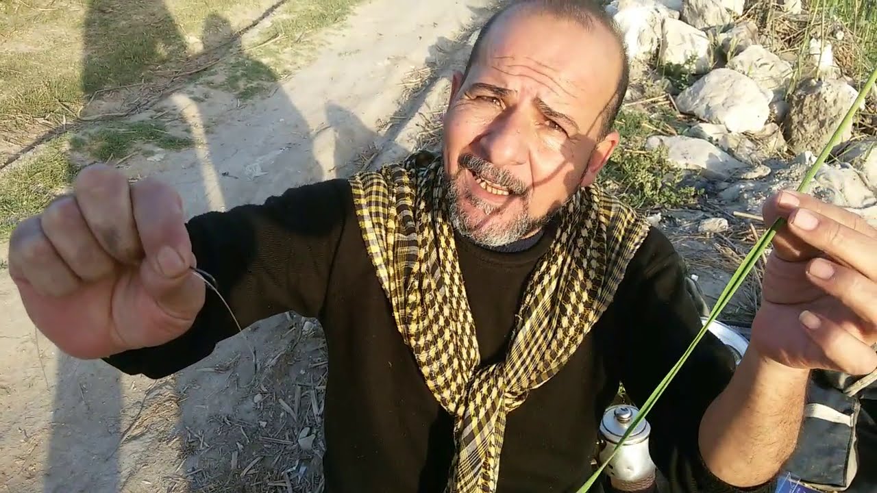 طريقة الصيد بى  البوص و النسيلة و ازاى تعرف ان المكان دة فى سمكه السلفر