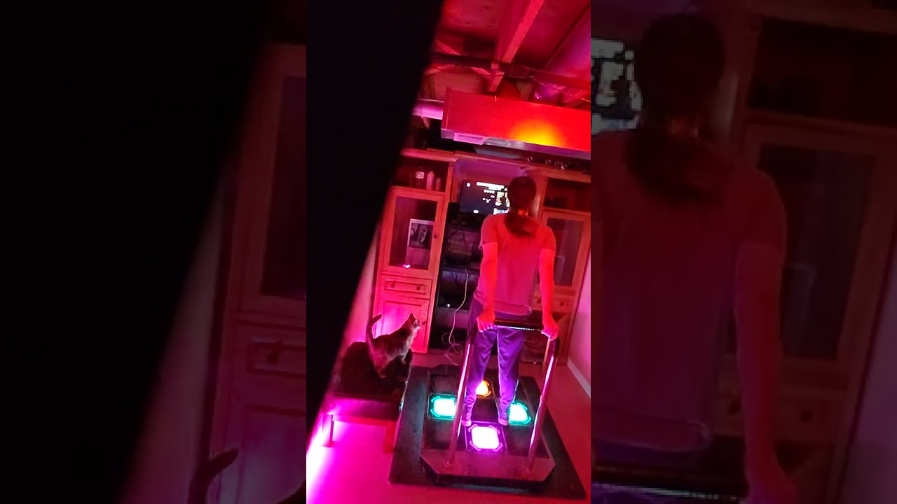 DDR Stamina - Imitation of Our History