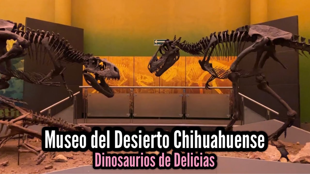 Dinosaurios en Delicias Chihuahua 
