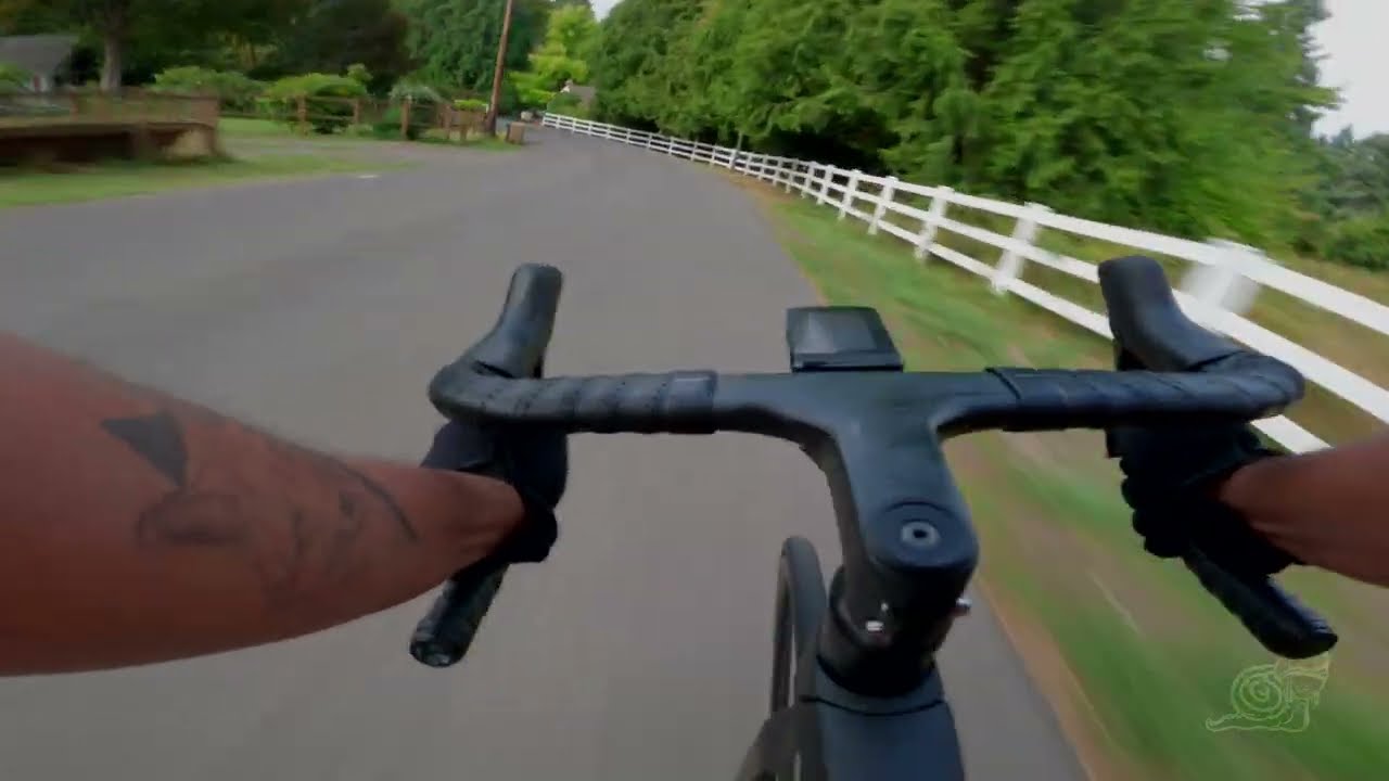 Clean Run On Wisteria Downhill! - Road Cycling POV / ASMR