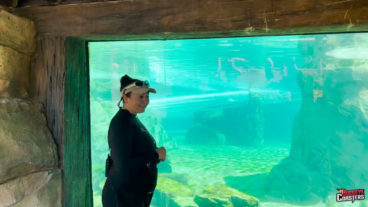 Commersons Dolphin Close Up Experience, Aquatica Orlando 2023