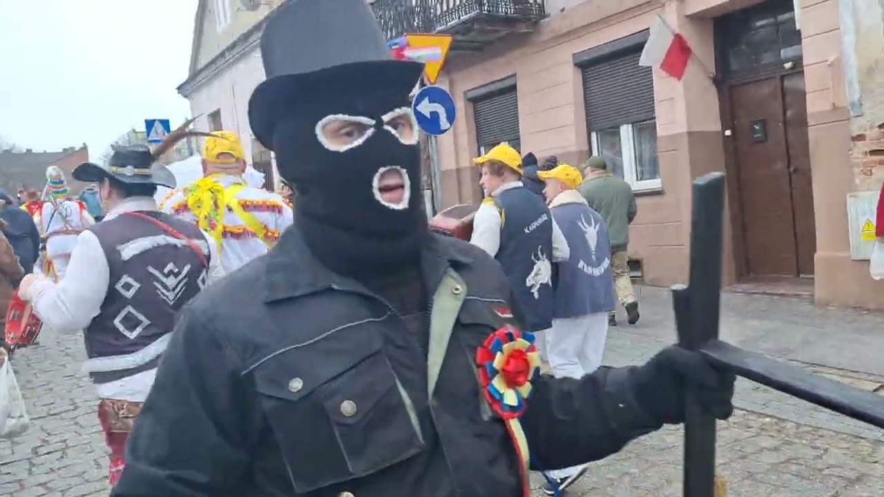 KOZA MĄTEWSKA WŁOCŁAWEK 2025