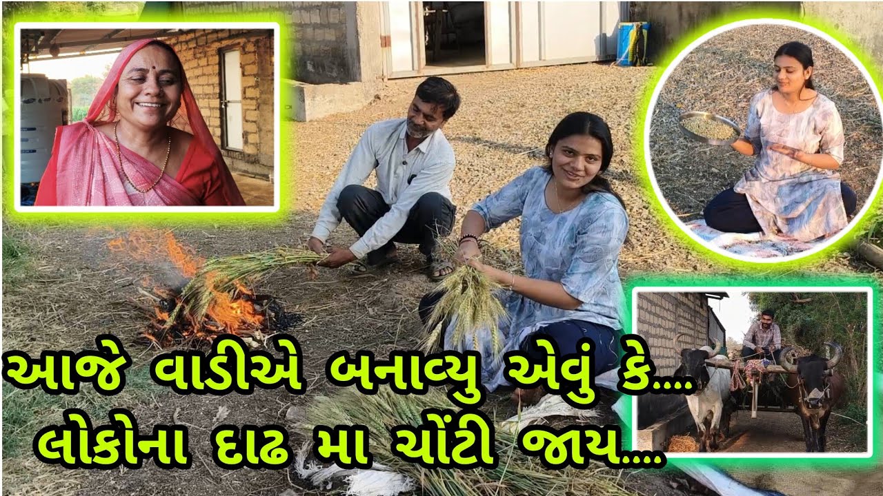 આજે વાડીએ બનાવ્યુ એવું કે....લોકોના દાઢ મા ચોંટી જાય....ll Family Vlogs ll Village life ll