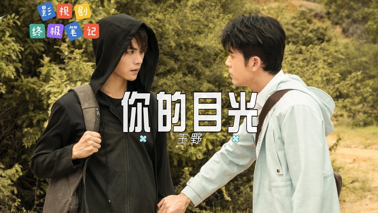 你的目光-王野  | 【电视剧《終極筆記》插曲  OST】| 高音质动态歌词 Pinyin Lyrics