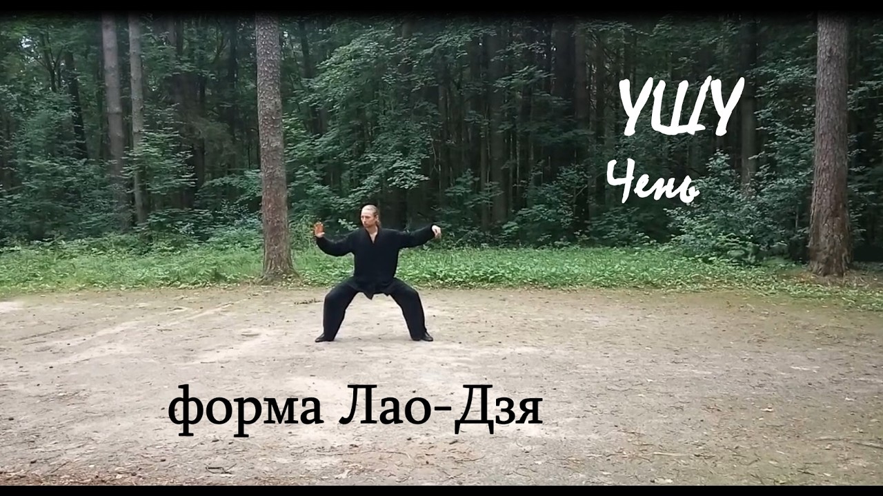 Форма Лао-Дзя - стиль Чень. Тренировка - июль 2018.