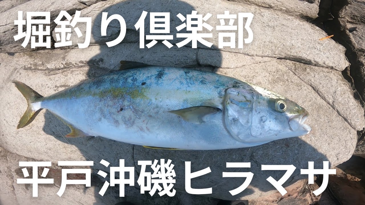 平戸の沖磯でヒラマサ釣り