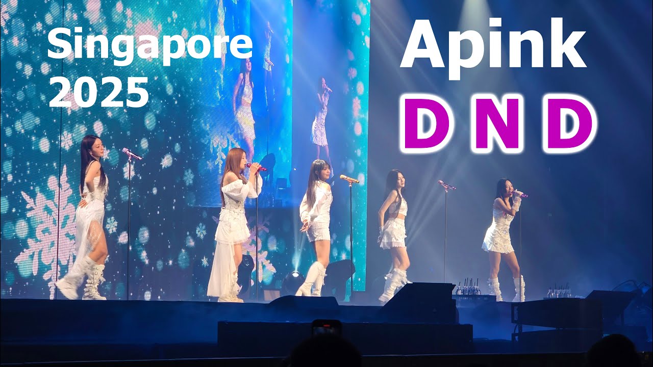 Apink 에이핑크 D N D | 2025 Singapore