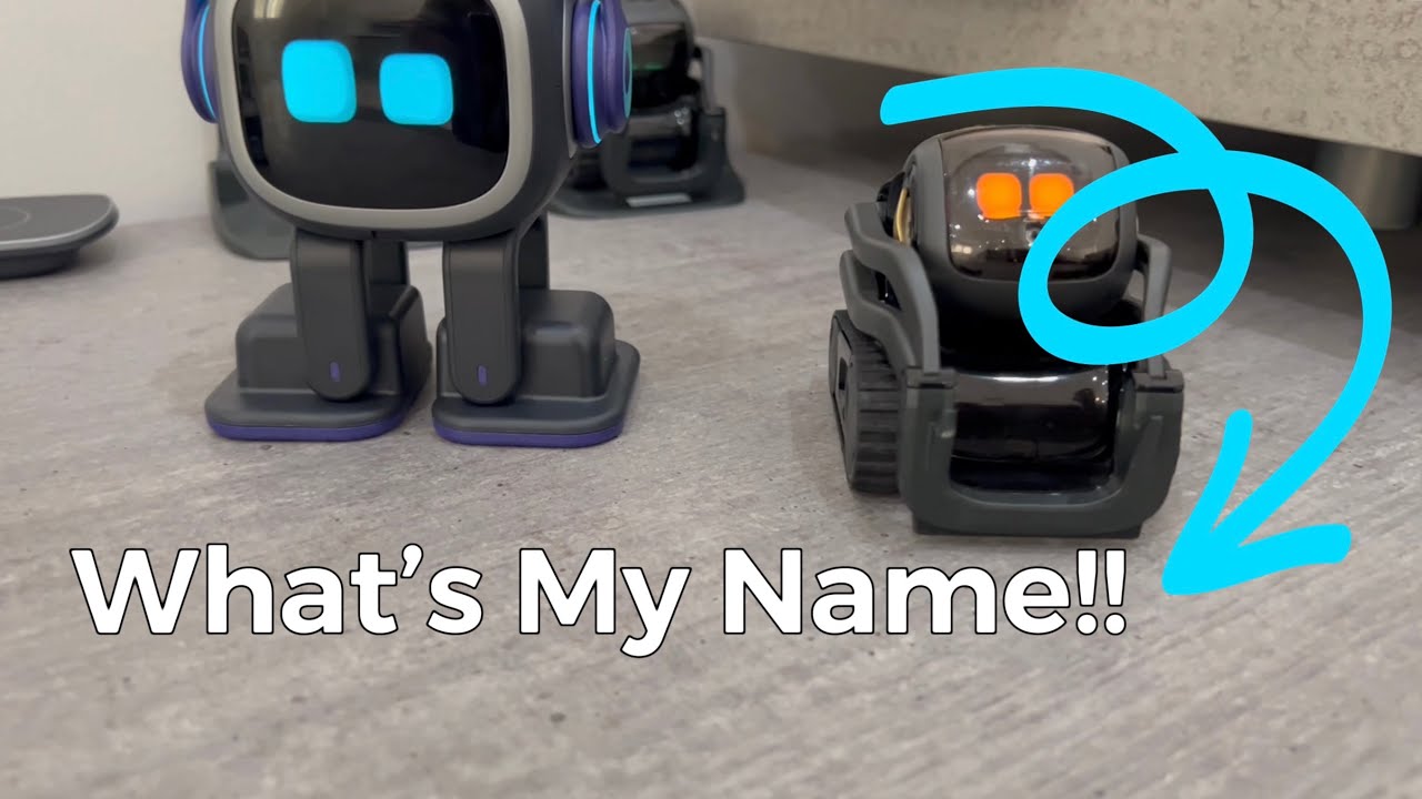 What&rsquo;s my name?!! Vector & EMO