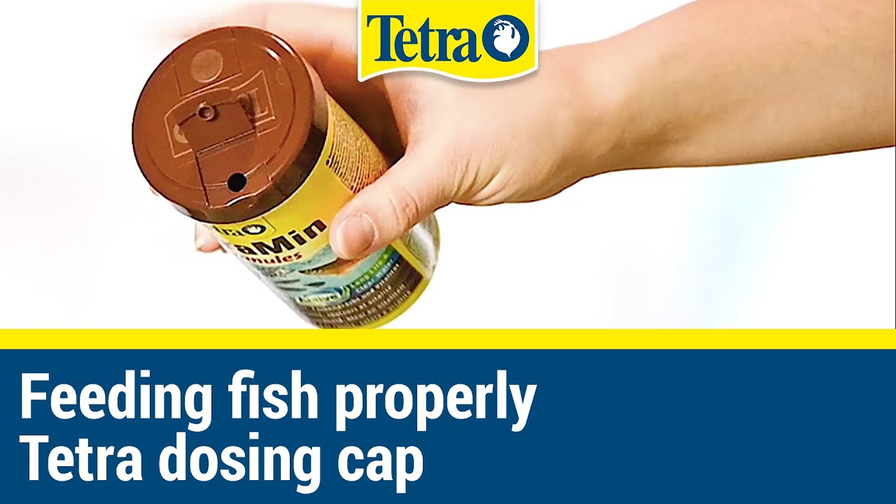 Feeding fish properly with Tetra dosing cap