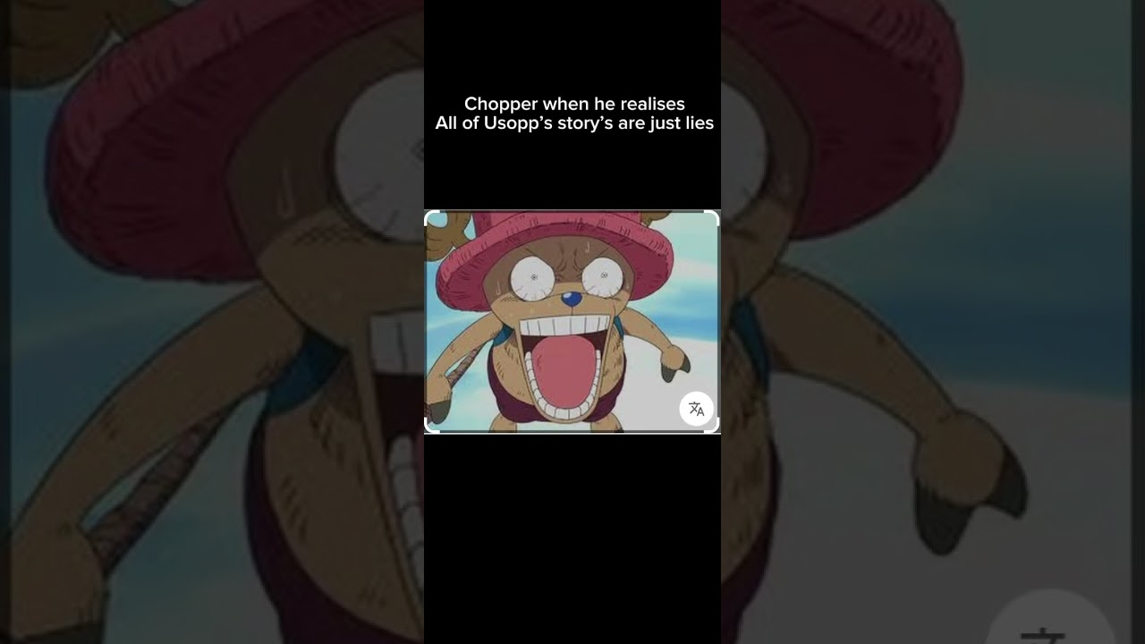 When chopper finds out abt Usopp’s  lies