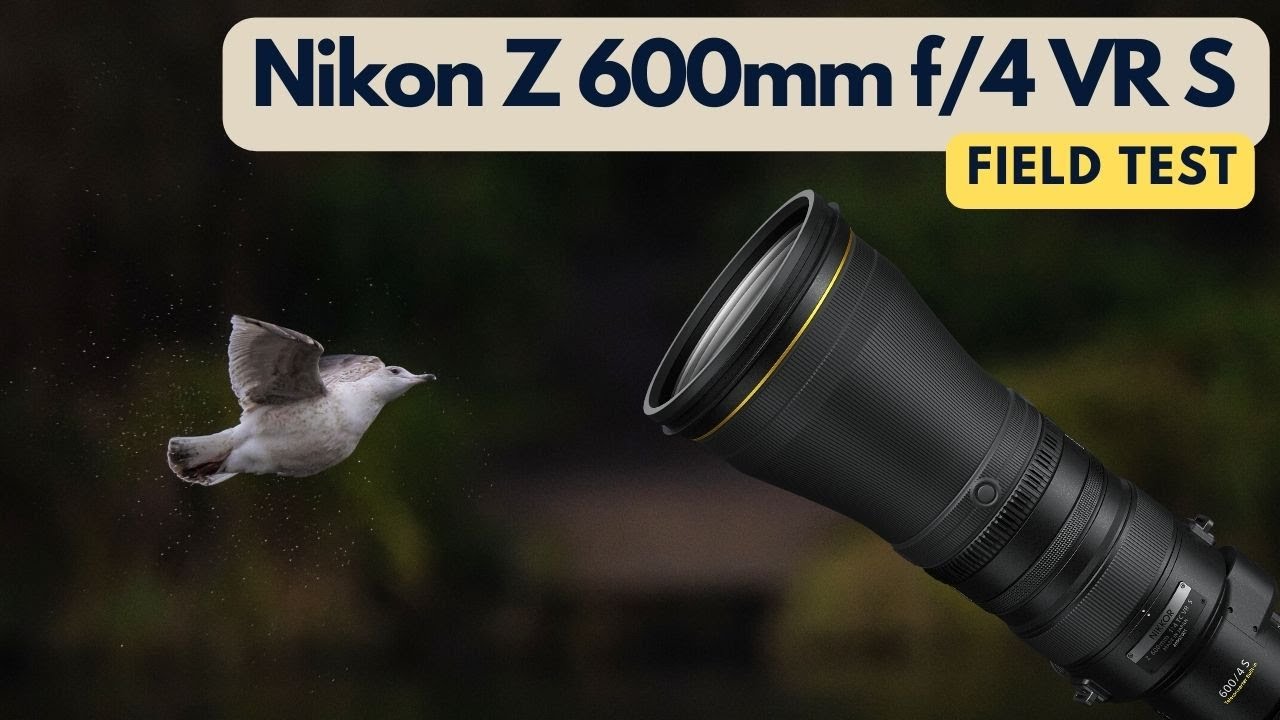 NIKON Z 600mm f/4 TC VR S ПОЛЕВЫЕ ТЕСТЫ