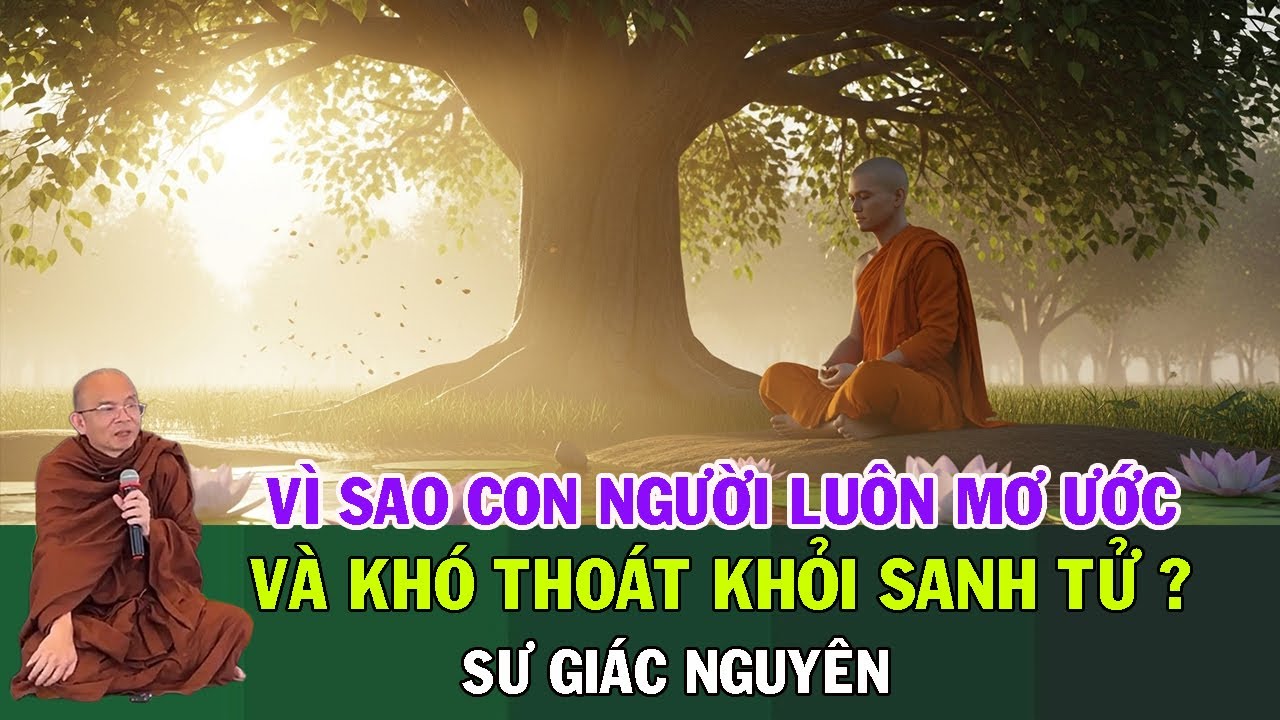 Vì Sao Con Người Luôn Mơ Ước Và Khó Thoát Khỏi Sinh Tử? | Sư Giác Nguyên | Sư Toại Khanh